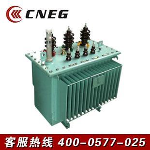 630KVA 11/0.42KV Dyn11 OIL TYPE专业定做出口型变压器11年经验